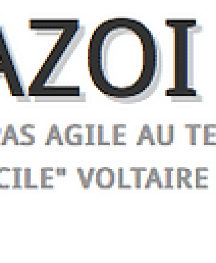 Article sur le blog Blogazoi